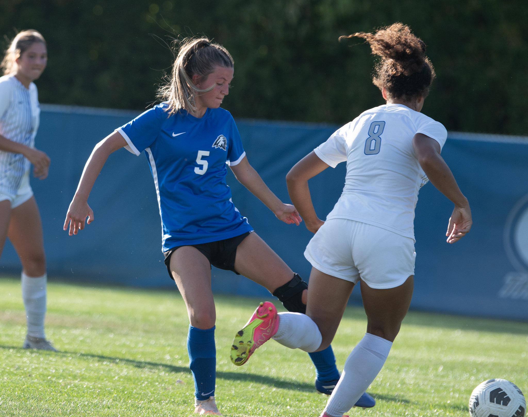 Alice Lloyd Lady Eagles Soccer Heads North to Ohio Christian